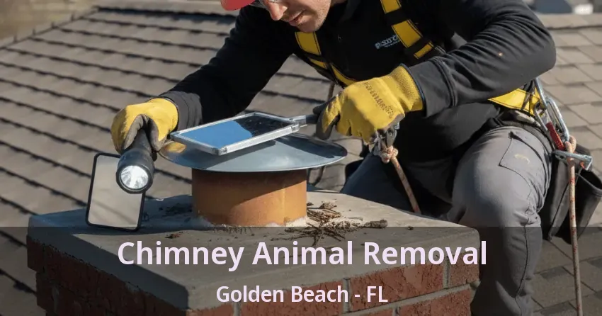 Chimney Animal Removal Golden Beach - FL