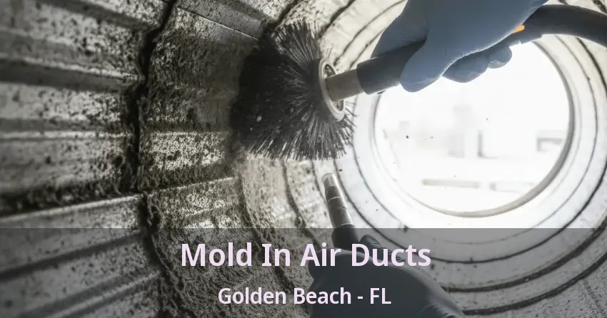 Mold In Air Ducts Golden Beach - FL