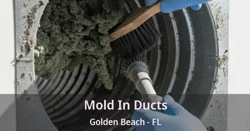 Mold In Ducts Golden Beach - FL Mold In Ducts Golden Beach - FL