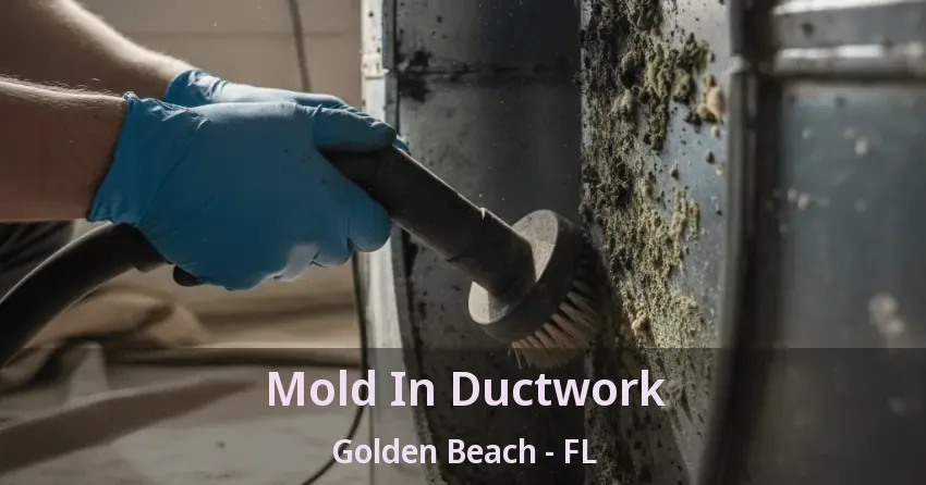 Mold In Ductwork Golden Beach - FL