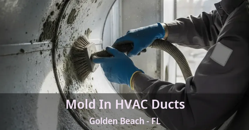 Mold In HVAC Ducts Golden Beach - FL