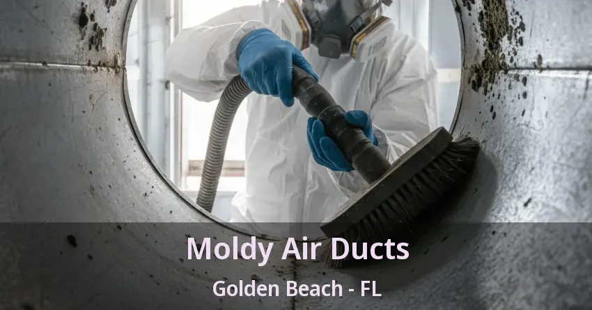 Moldy Air Ducts Golden Beach - FL